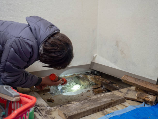 Best Mold Removal for HVAC Installations  in Unionville, NC