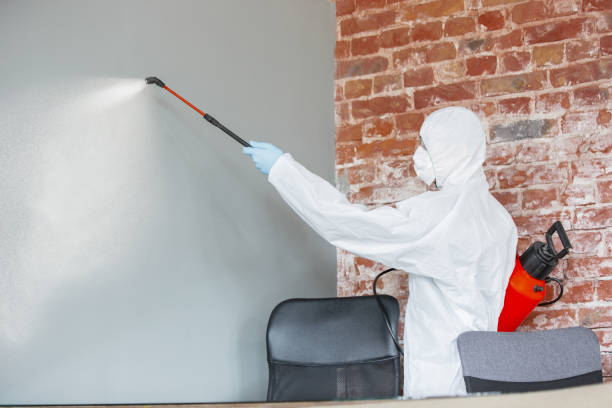 Best Emergency Mold Remediation  in Unionville, NC