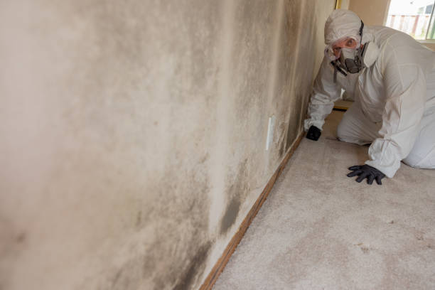  Unionville, NC Mold Removal Pros