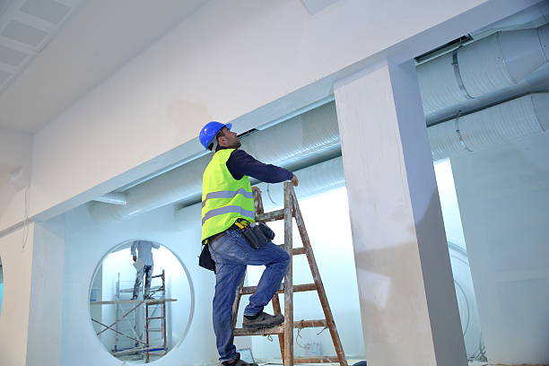 Professional Mold Removal in Unionville, NC
